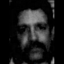 Michael J. Wilcox