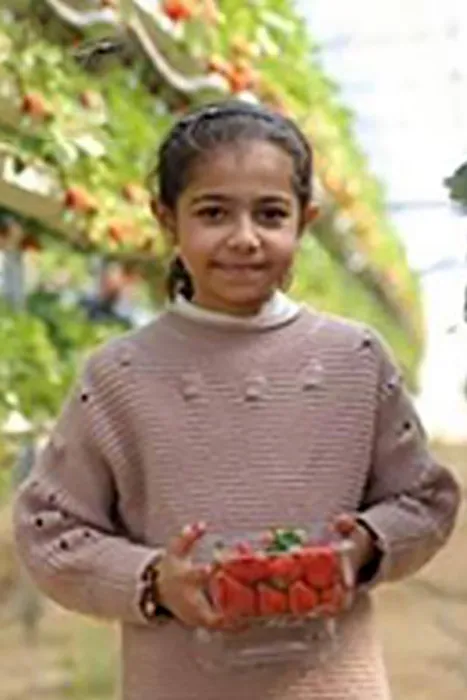 Yara Mohammad Mo’een Al-Qulaq