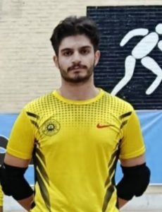 Mahan Mardani