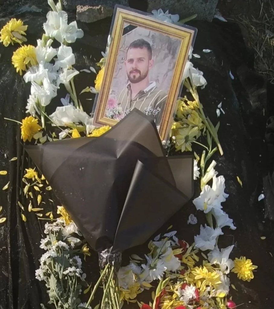 Alireza Safedel