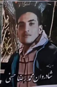 Mohammadreza Hasani