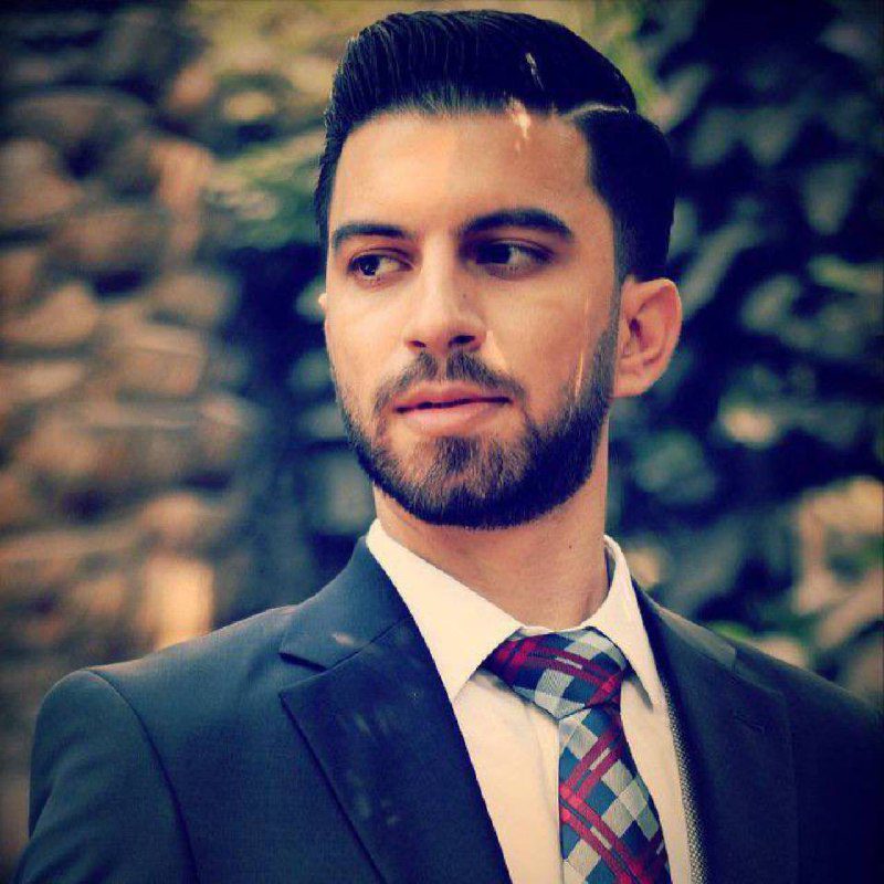 Hamed Hamidian