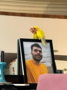 Amirmohammad Eyaghat