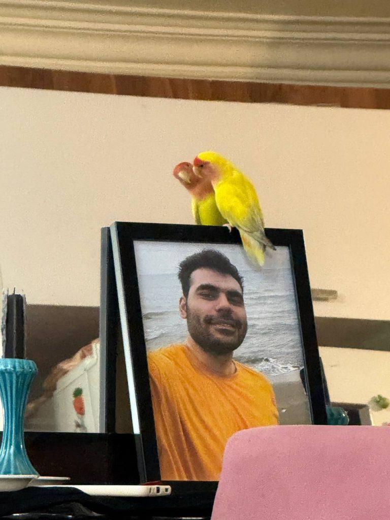 Amirmohammad Eyaghat