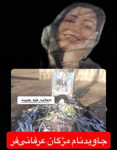 Mozhgan Erfanifar