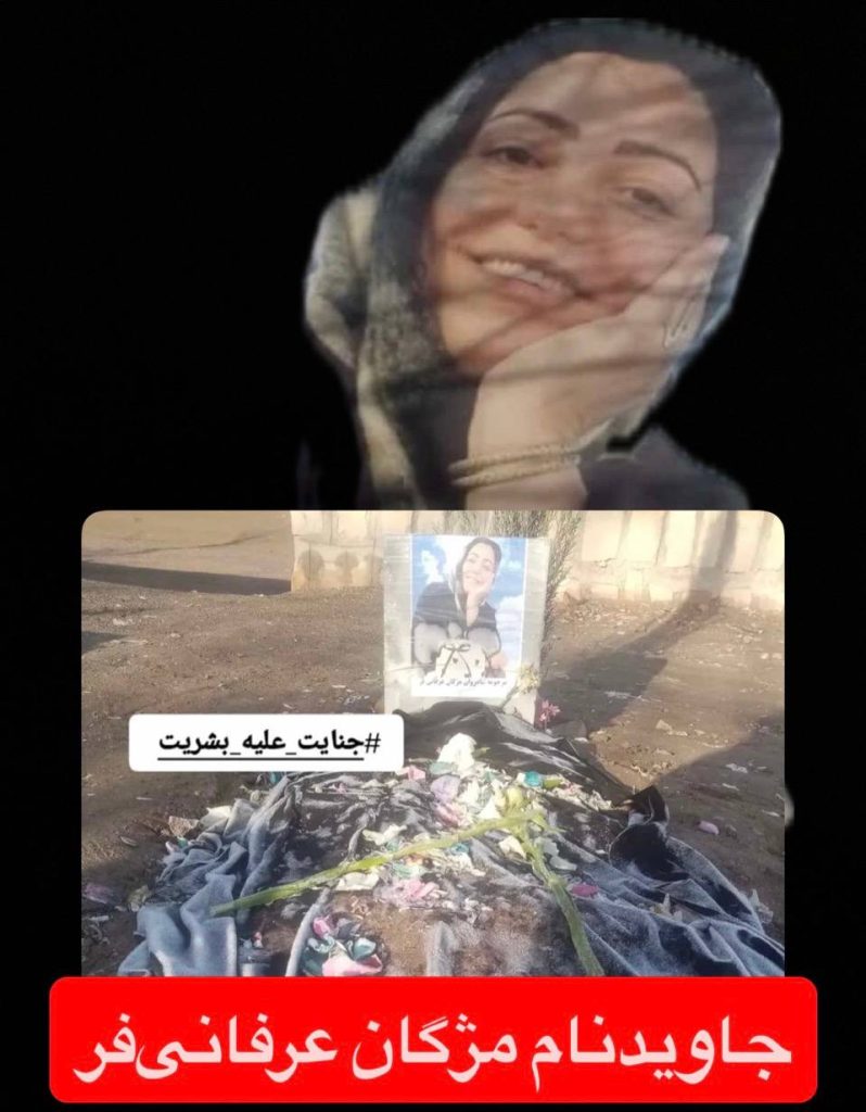 Mozhgan Erfanifar