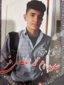 Mohammad Soltanifar