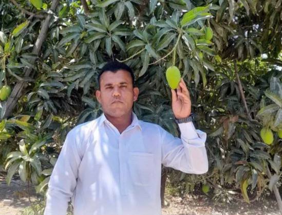 Ayoub Rasaneh