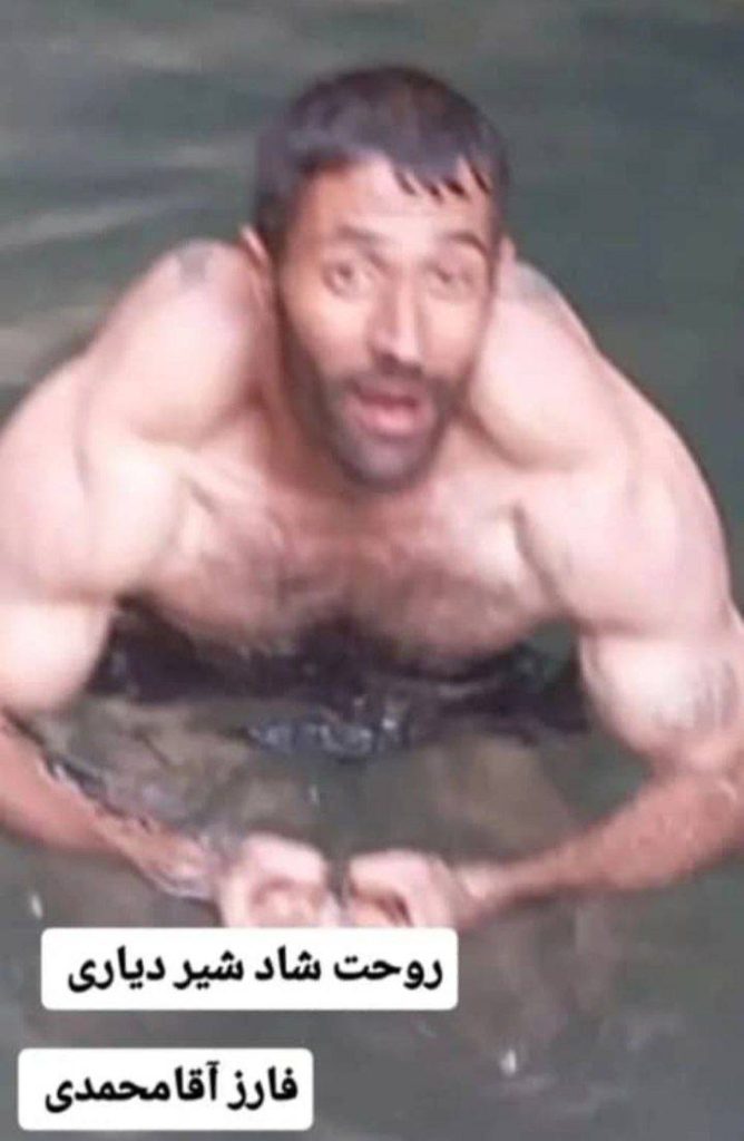 Farz Aghamohammadi
