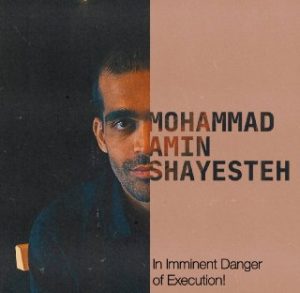 Mohammad Amin Mahdavi Shayesteh