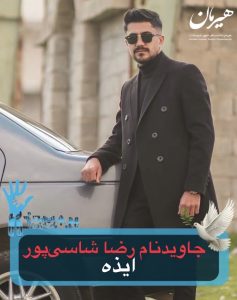 Reza Shasipour Lor