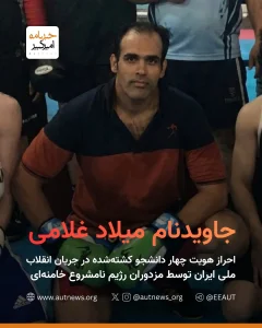 Mohammad (Milad) Gholami