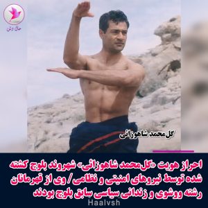 Golmohammad Shahozaei